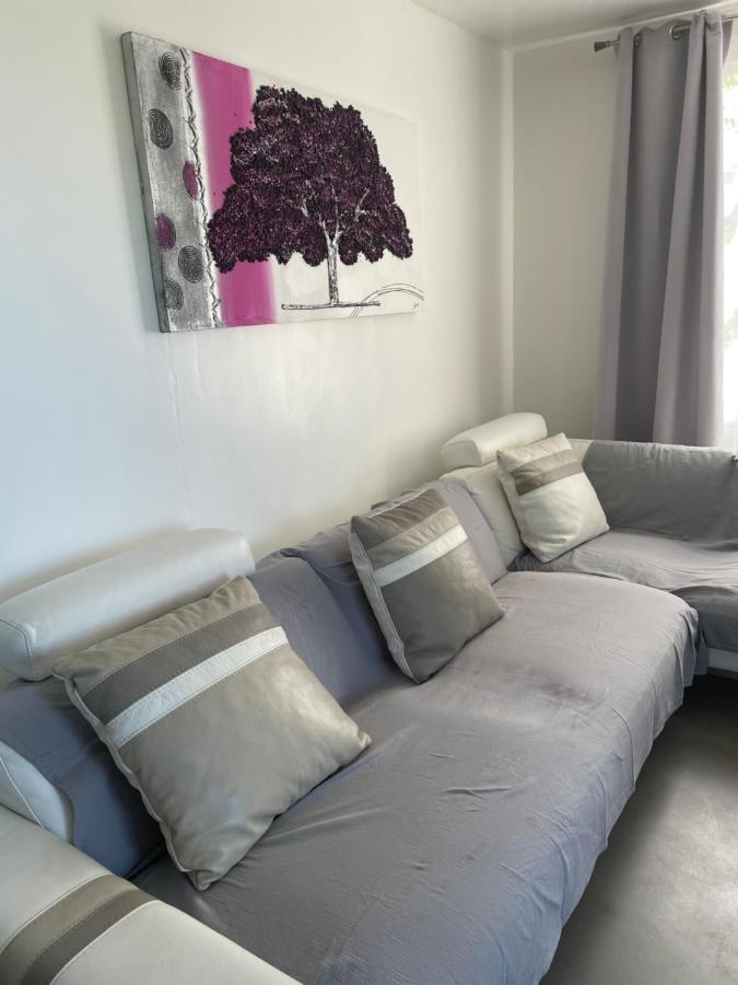 Charmant T2 Meuble Proche Chu Bellepierre Saint-Denis Luaran gambar